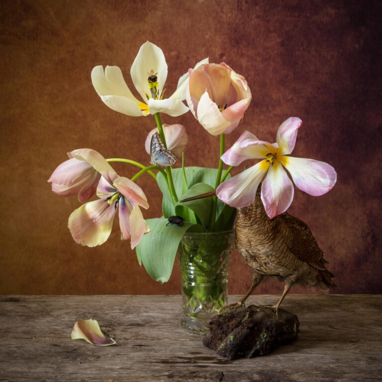 The Snipe - Elizabeth Joan Clarke 