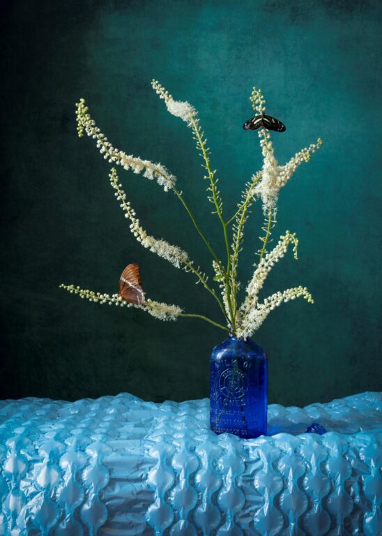 Milk of Magnesia - Elizabeth Joan Clarke 