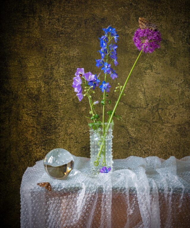 Bubble Wrap I - Elizabeth Joan Clarke 