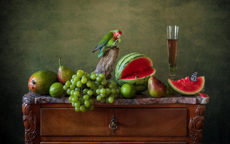 The Parrot - Elizabeth Joan Clarke 