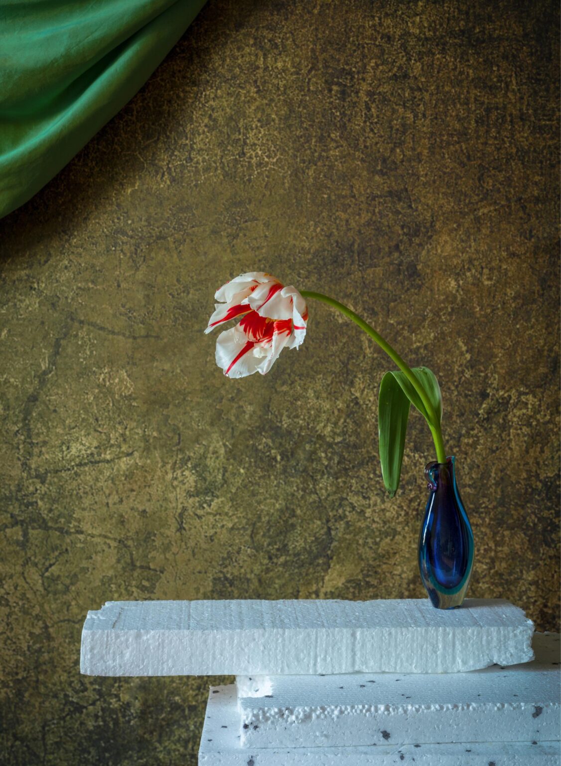 Styrofoam - Elizabeth Joan Clarke 