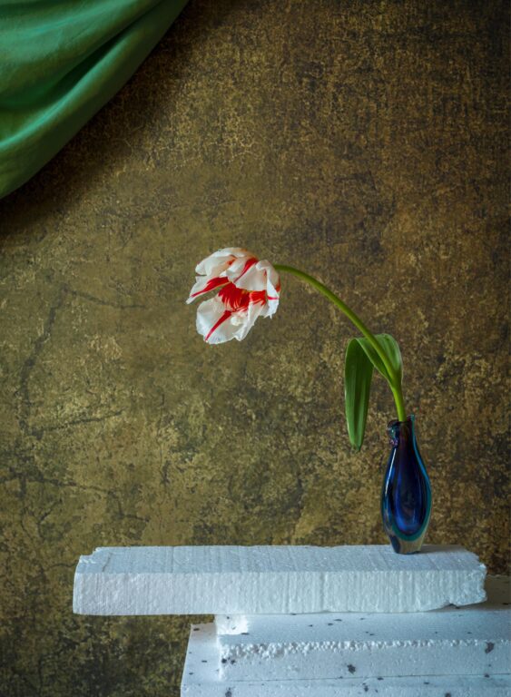 Styrofoam - Elizabeth Joan Clarke 