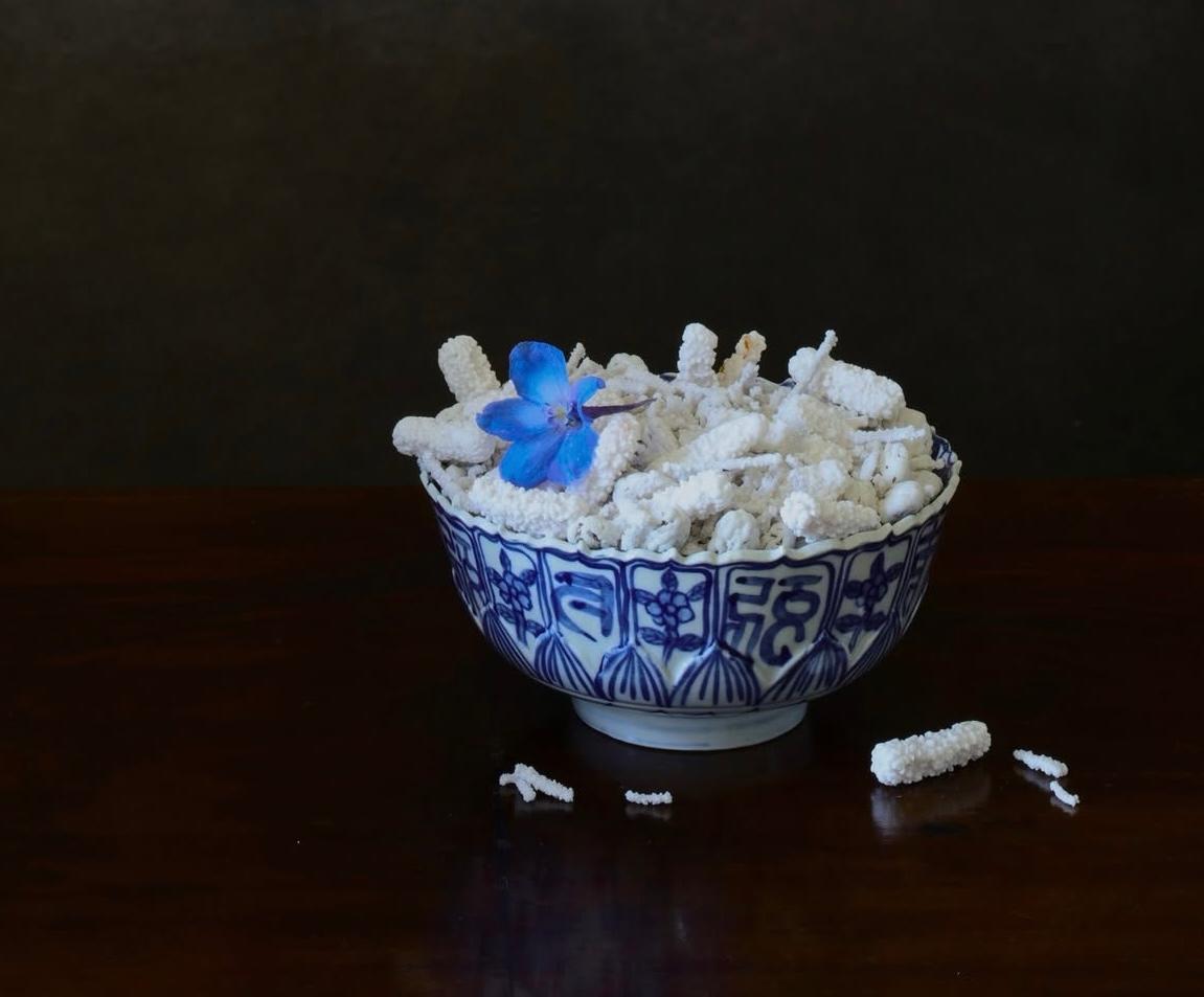 Candy - Elizabeth Joan Clarke 