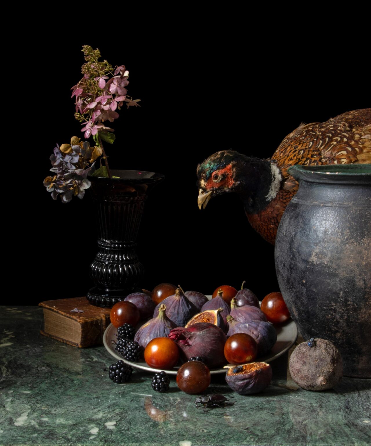 Midnight Feast - Elizabeth Joan Clarke 