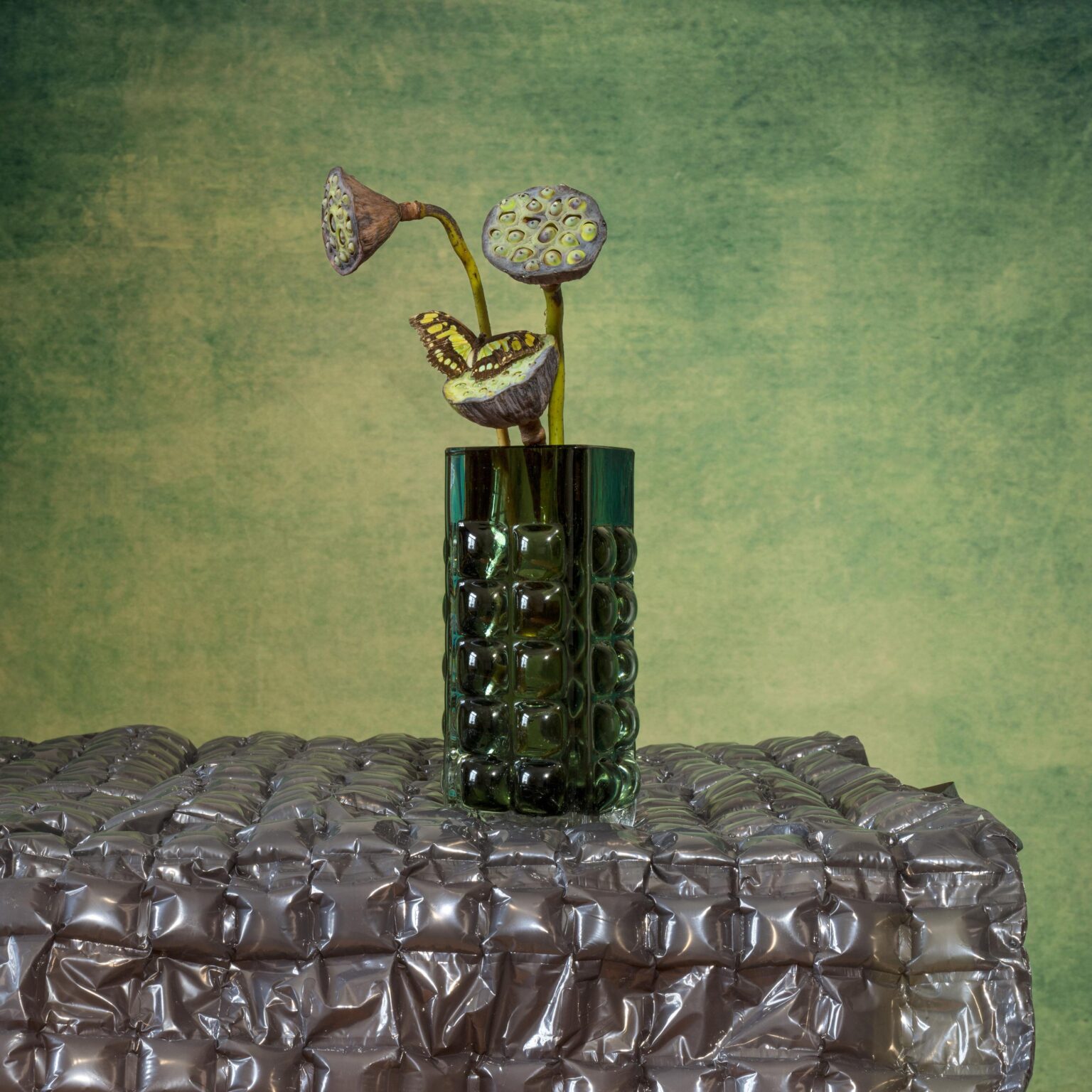 Aircushion Foil II - Elizabeth Joan Clarke 