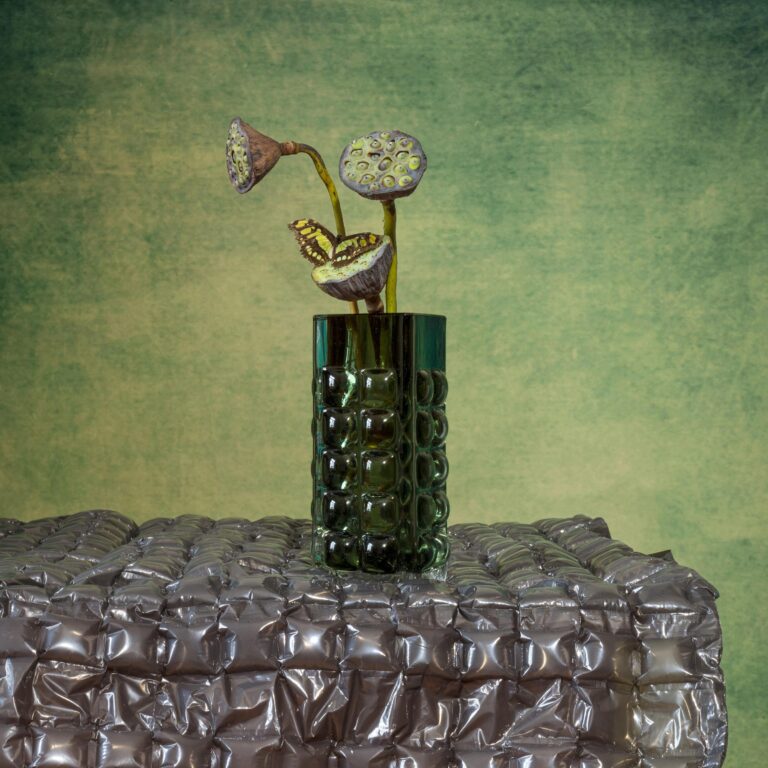 Aircushion Foil II - Elizabeth Joan Clarke 