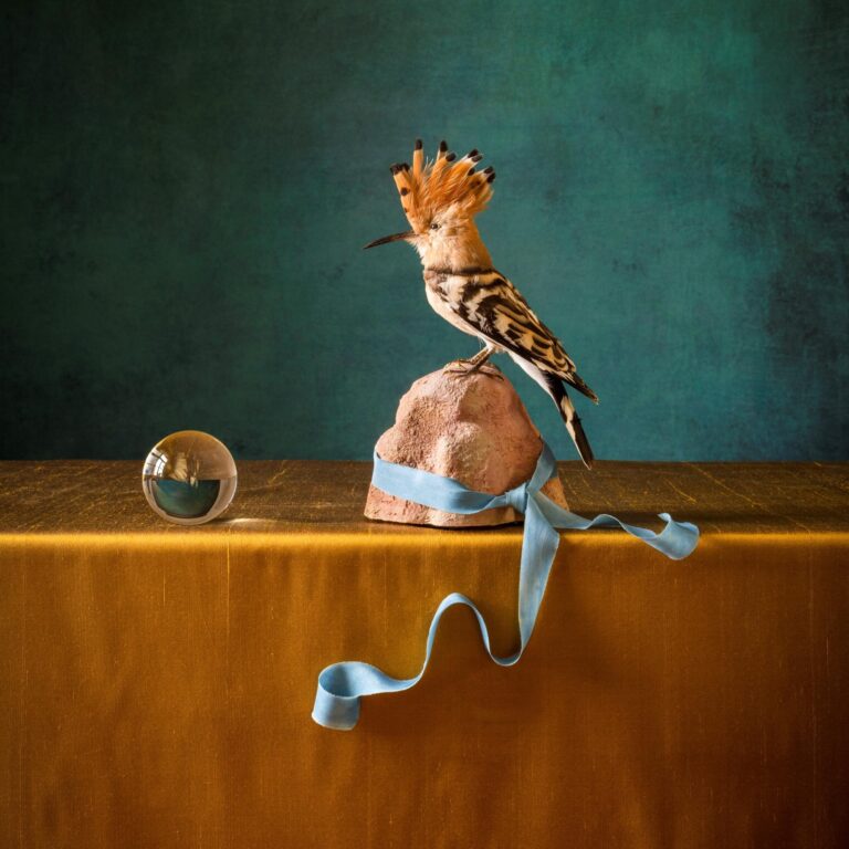 The Hoopoe - Elizabeth Joan Clarke 
