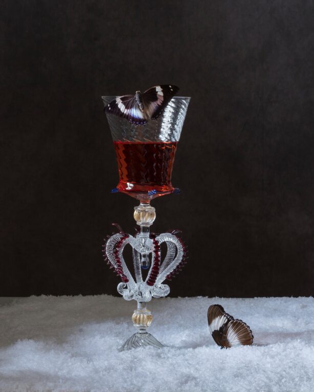 Butterflies in Snow - Elizabeth Joan Clarke 