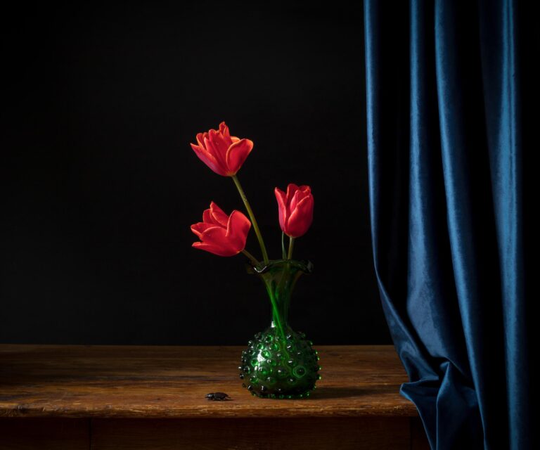 The Last Days of Magic - Elizabeth Joan Clarke 