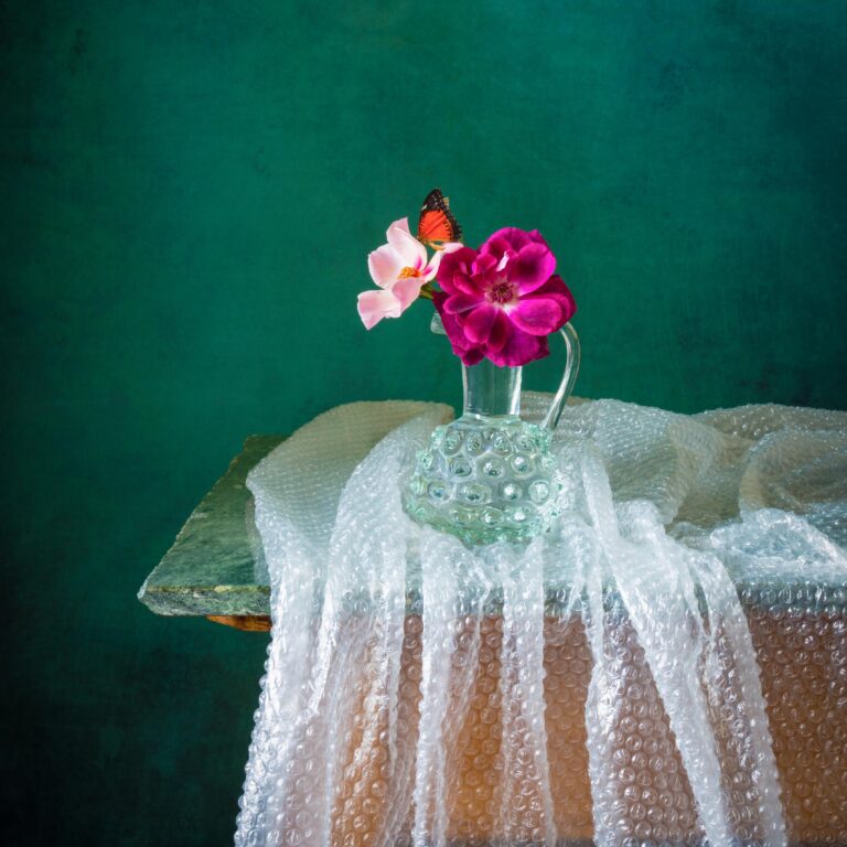 Bubble Wrap II - Elizabeth Joan Clarke 