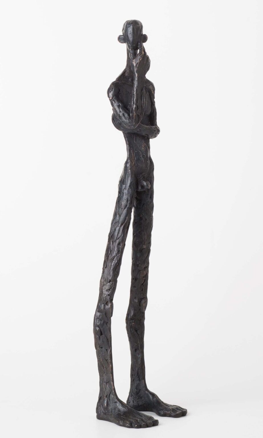 Denker - Hannes Helmke 