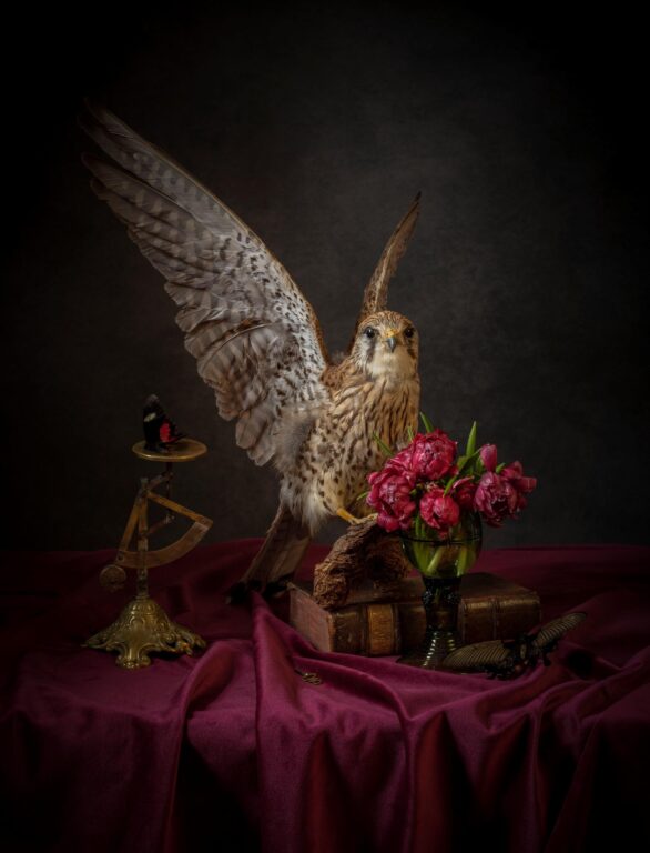 The Flight - Elizabeth Joan Clarke 