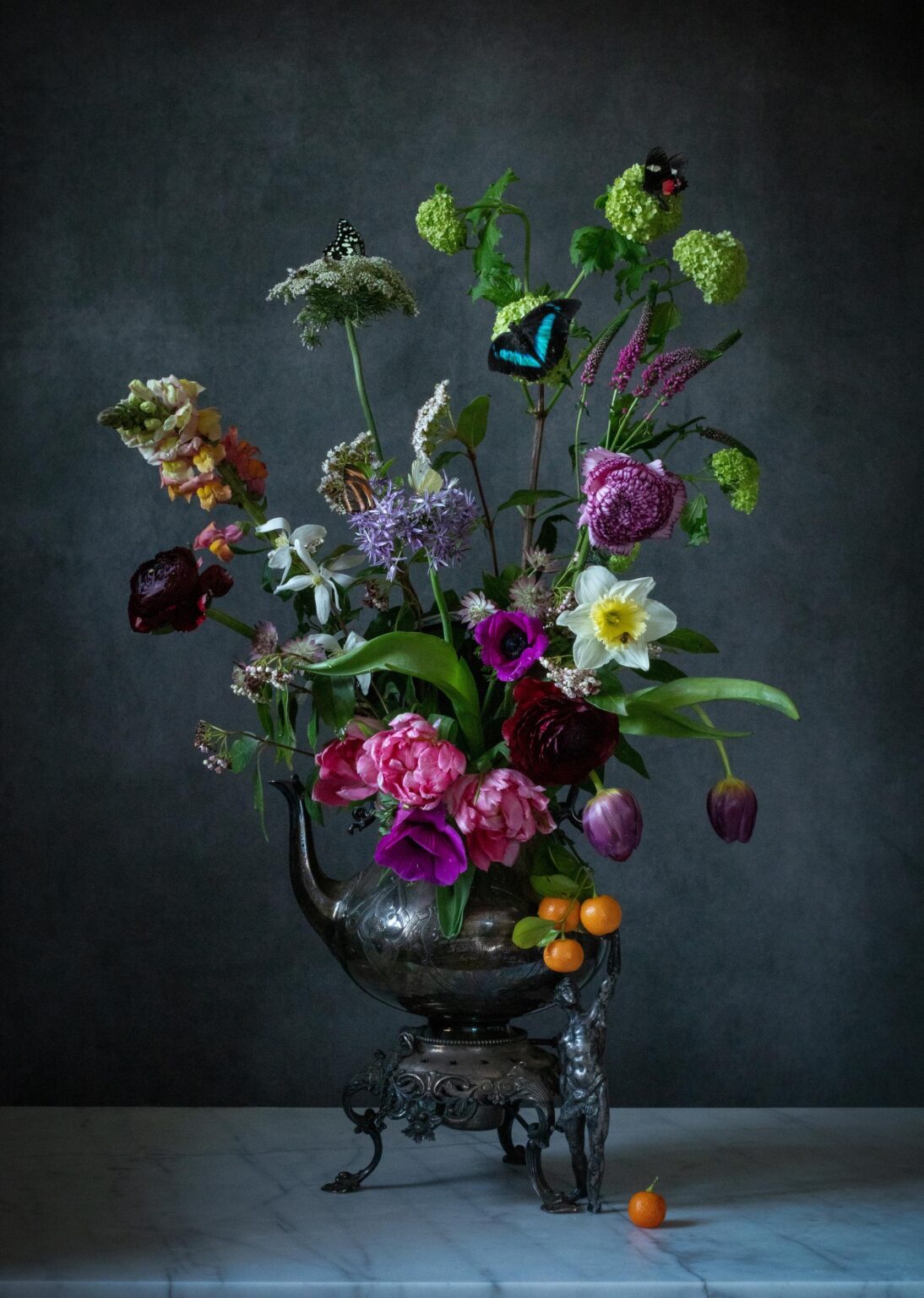The Fruitpicker - Elizabeth Joan Clarke 