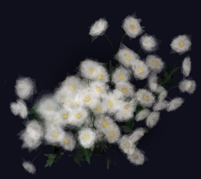 Anemonen - Margarete Schrüfer 