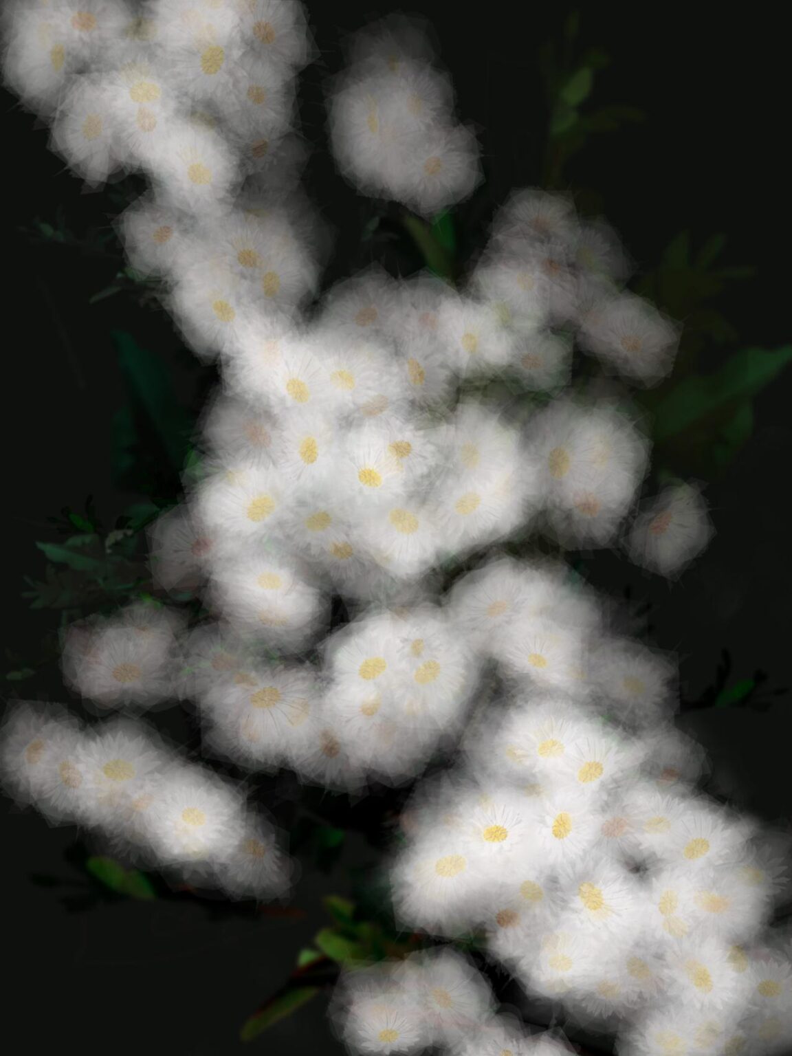 G&auml;nsebl&uuml;mchen - Margarete Schr&uuml;fer 