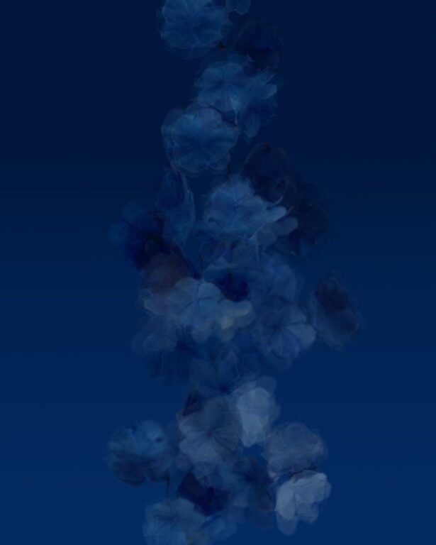Blaue Blume - Margarete Schrüfer 
