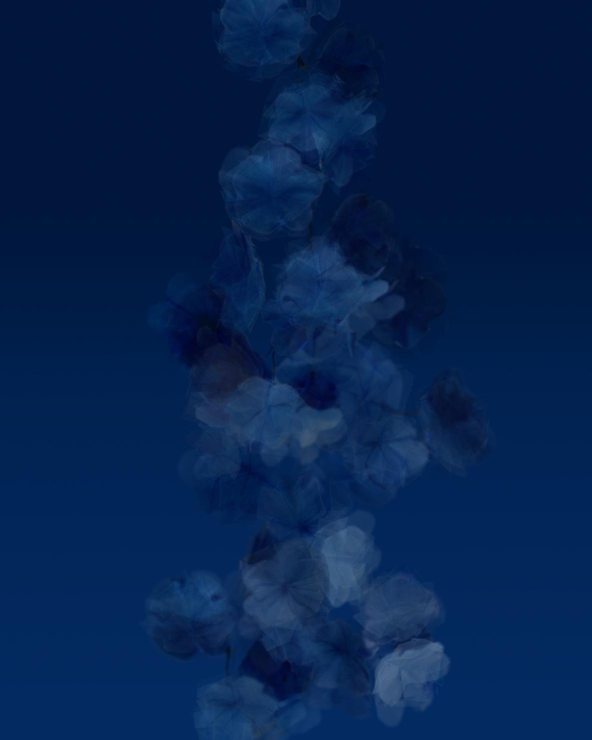 Blaue Blume - Margarete Schr&uuml;fer 