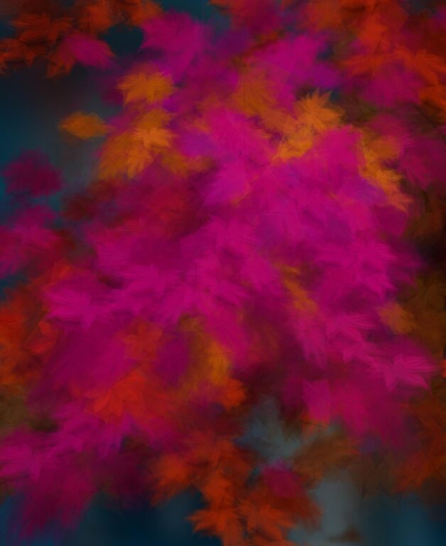 Herbst in Simulacrum VI - Margarete Schrüfer 