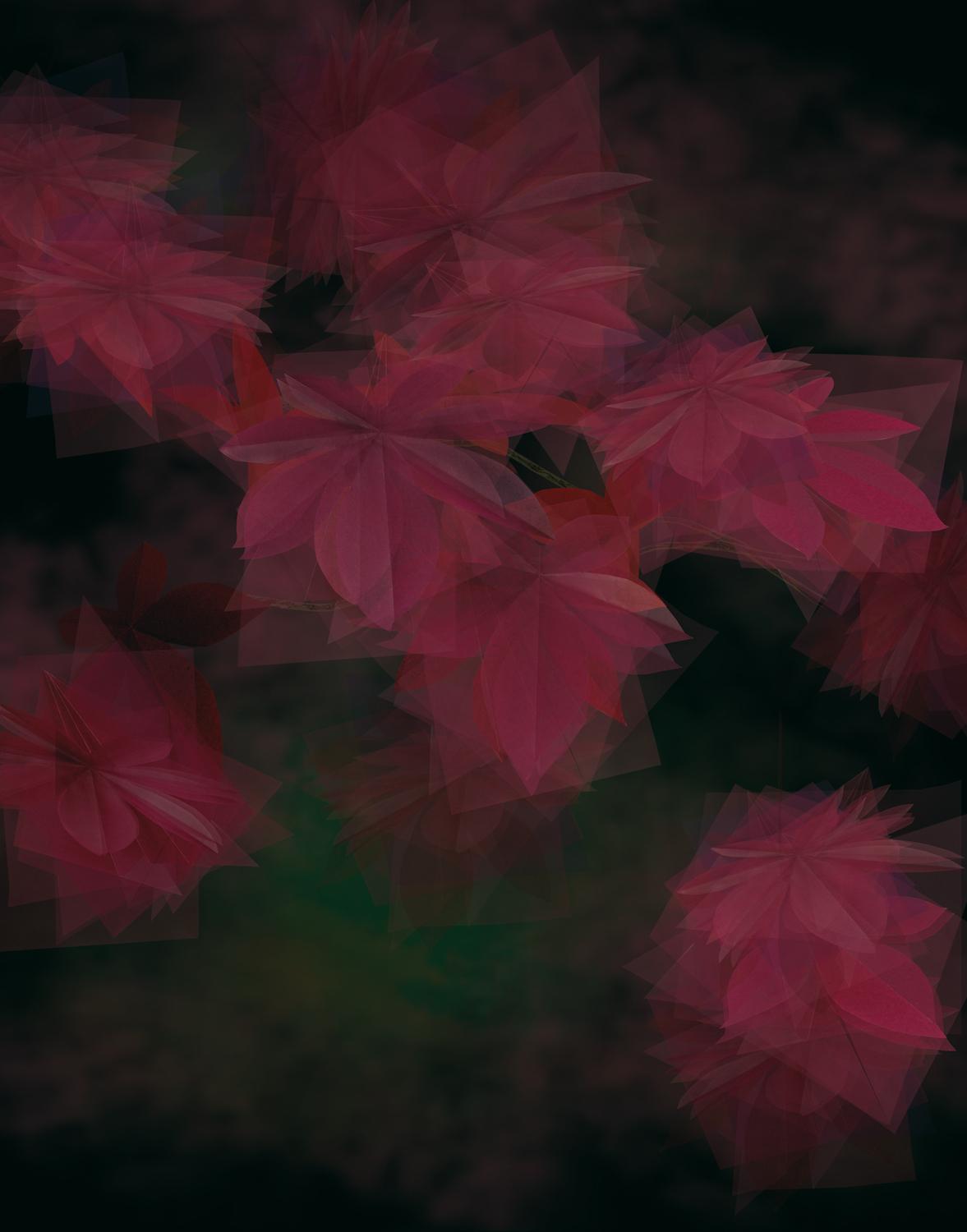 Herbst in Simulacrum II - Margarete Schr&uuml;fer 