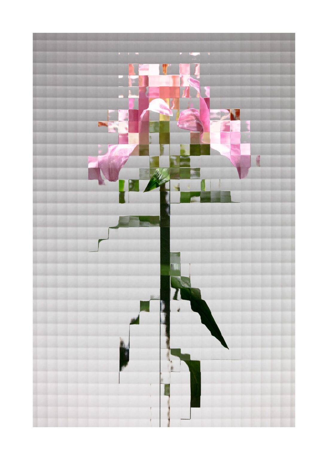 Flowers #4 - Sven L&uuml;tzenkirchen 