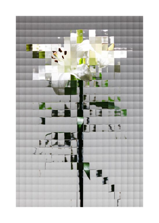 Flowers #18 - Sven Lützenkirchen 
