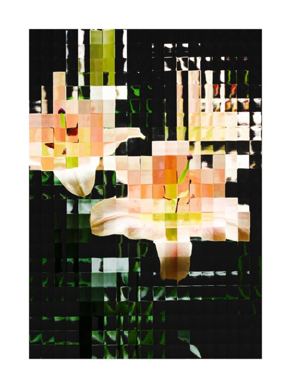 Flowers #22 - Sven Lützenkirchen 