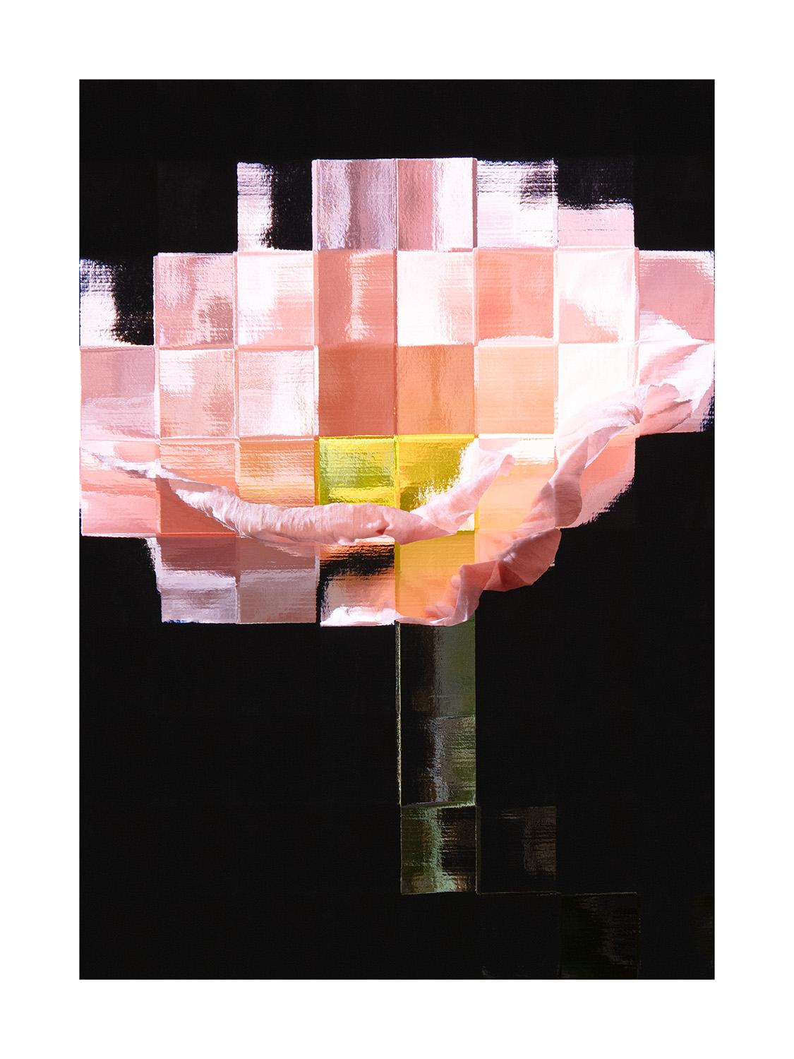 Flowers #25 - Sven L&uuml;tzenkirchen 