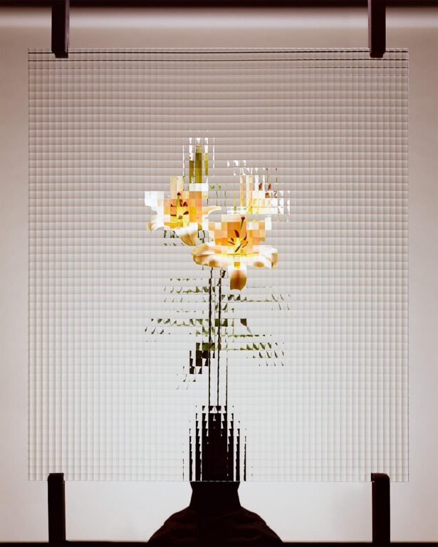Flowers #1 - Sven Lützenkirchen 