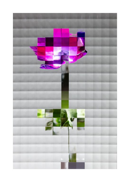 Flowers #2 - Sven Lützenkirchen 