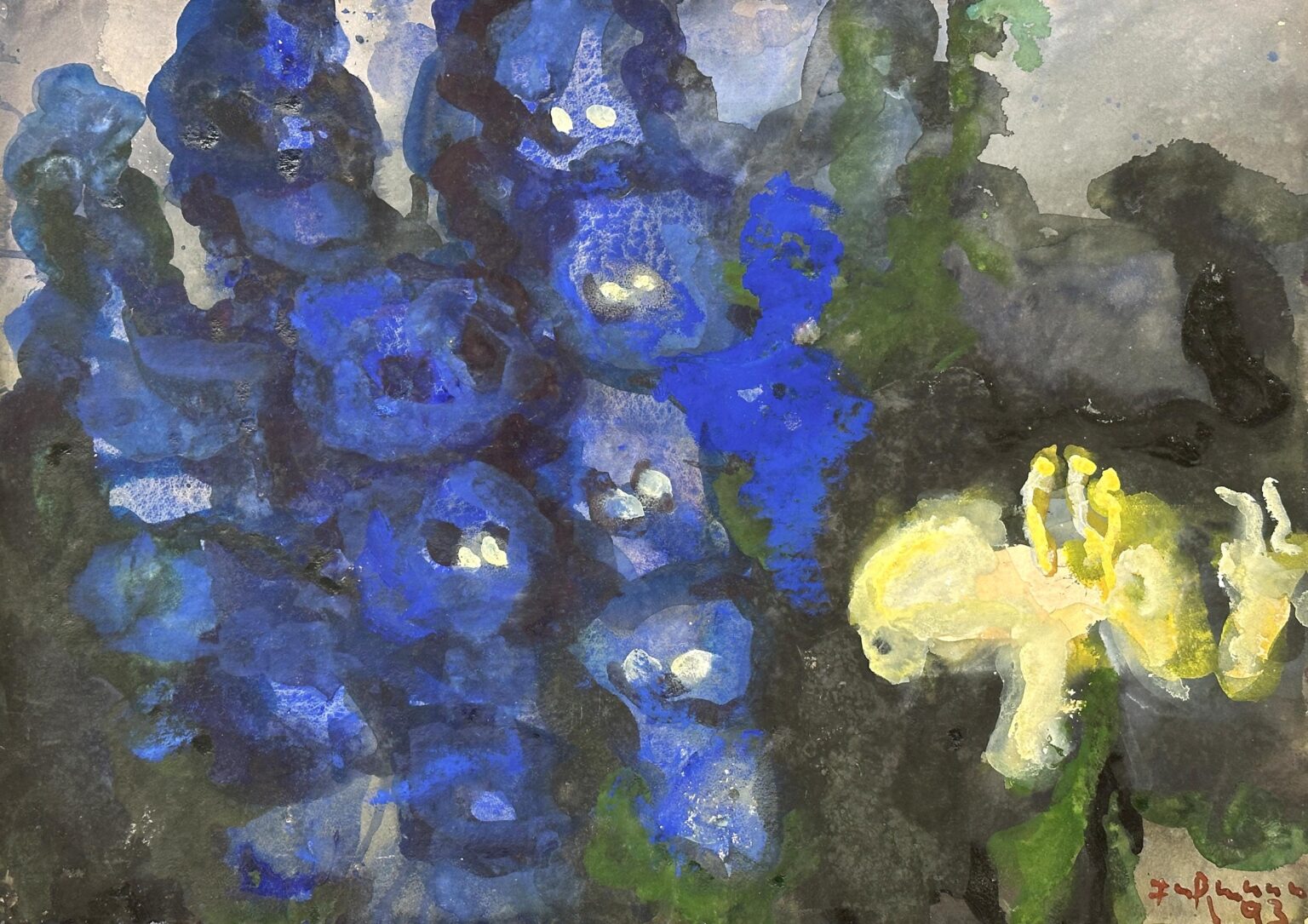 Rittersporn und gelbe Iris - Klaus Fu&szlig;mann 