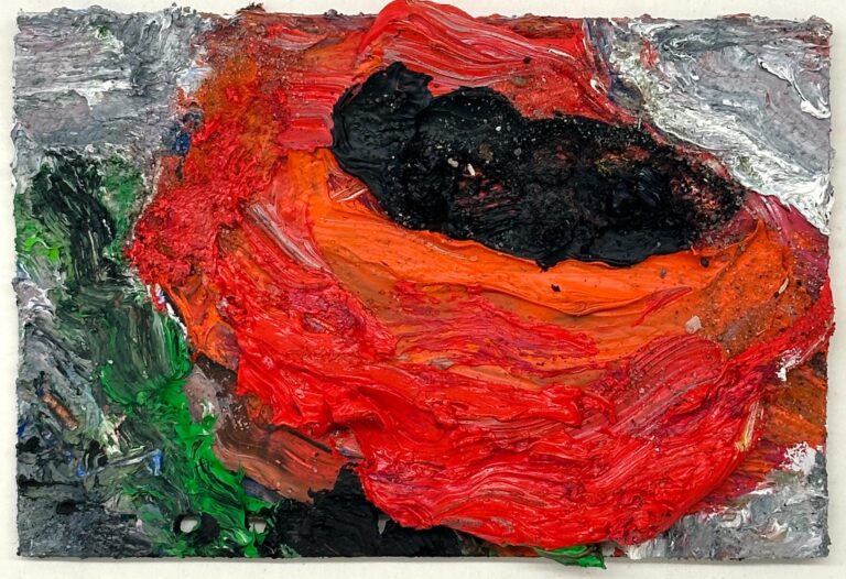 Mohn - Klaus Fußmann 