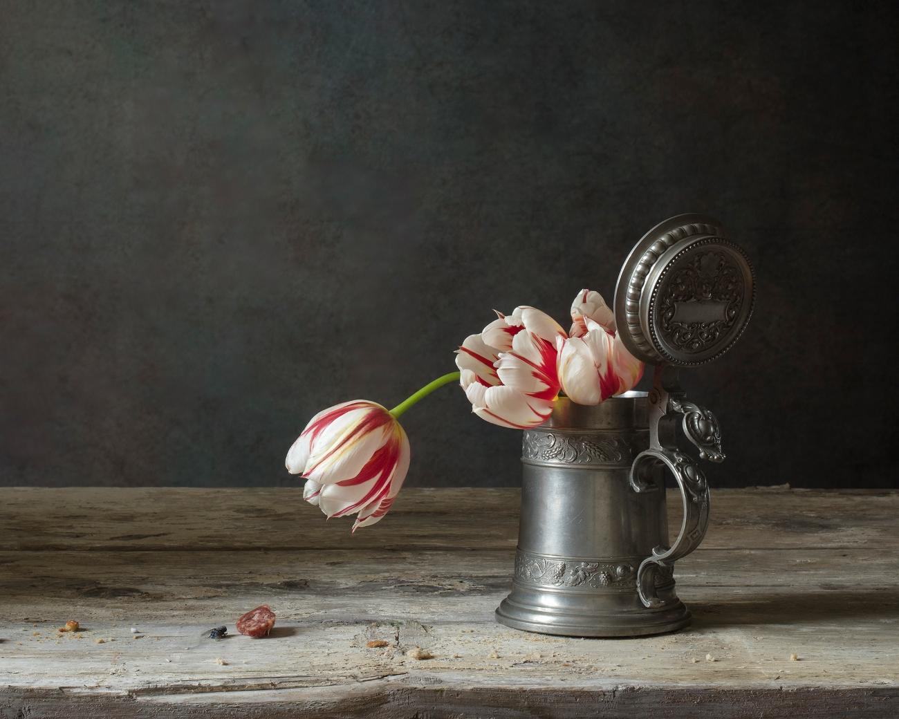 Quo Vadis? - Elizabeth Joan Clarke 