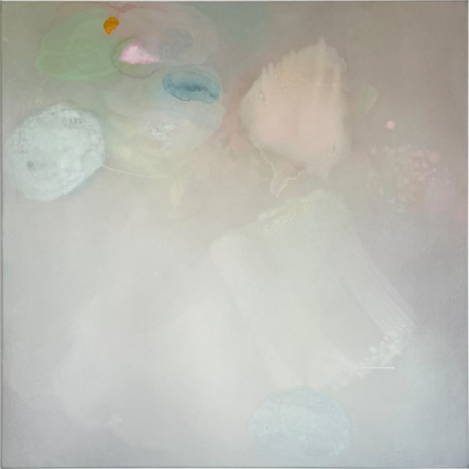 in Gedenken an silvia hornig 