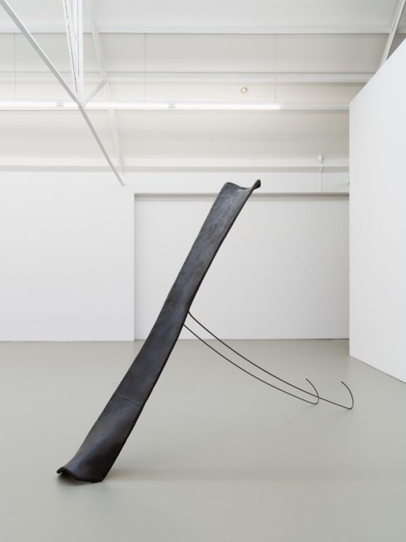 Interior Biomorphic Attachment (Warm Bodies L) - Olga Balema 