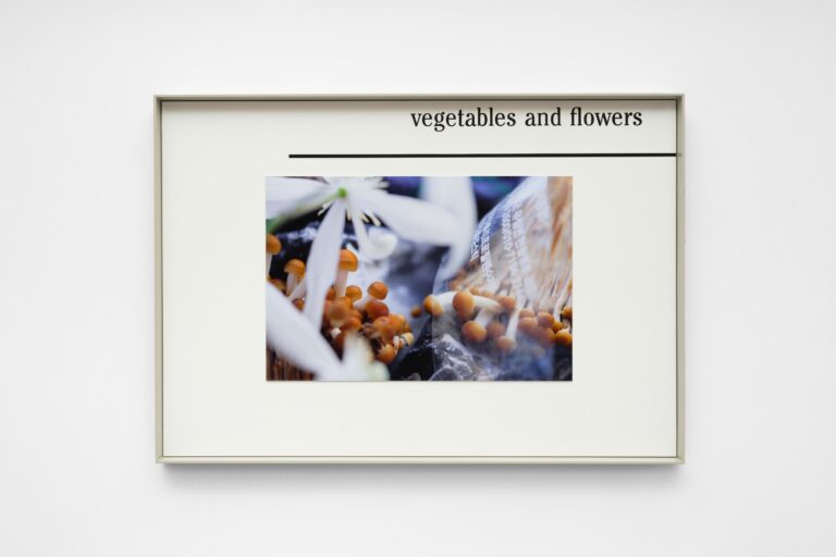 Knaves (Aspen Coral) - Magali Reus 