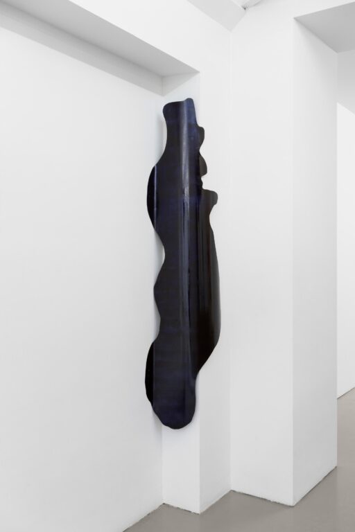Interior biomorphic attachment (beautiful world) - Olga Balema 