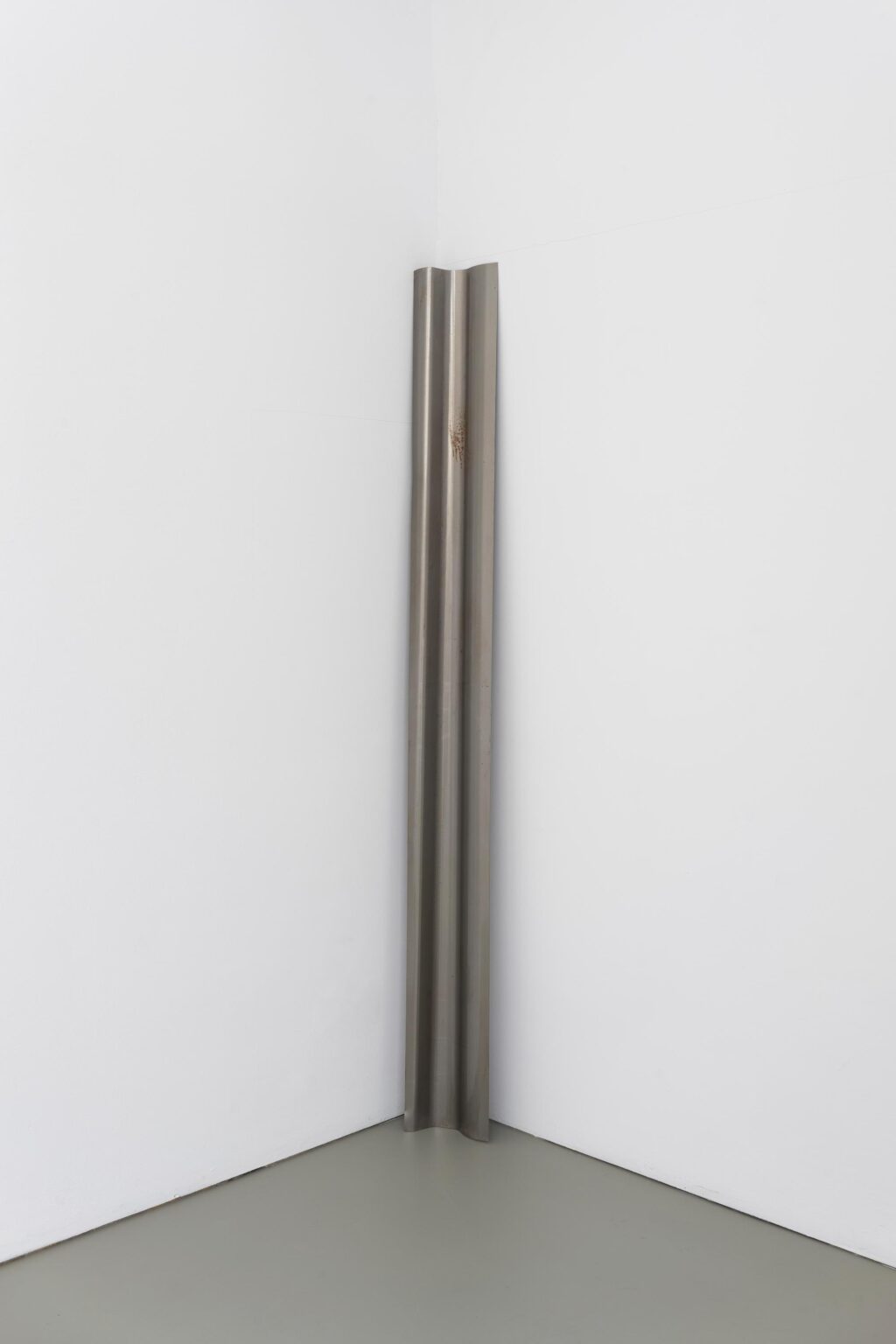Interior Biomorphic Attachment (silvered chasm looking at a beloved), - Olga Balema 