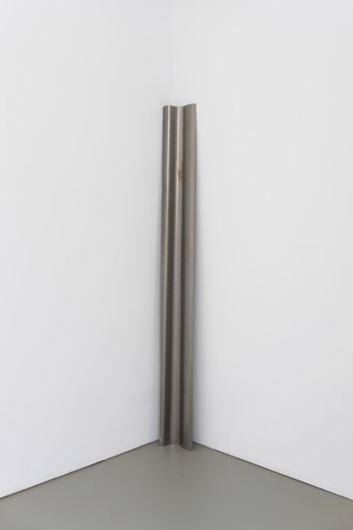 Interior Biomorphic Attachment (silvered chasm looking at a beloved), - Olga Balema 