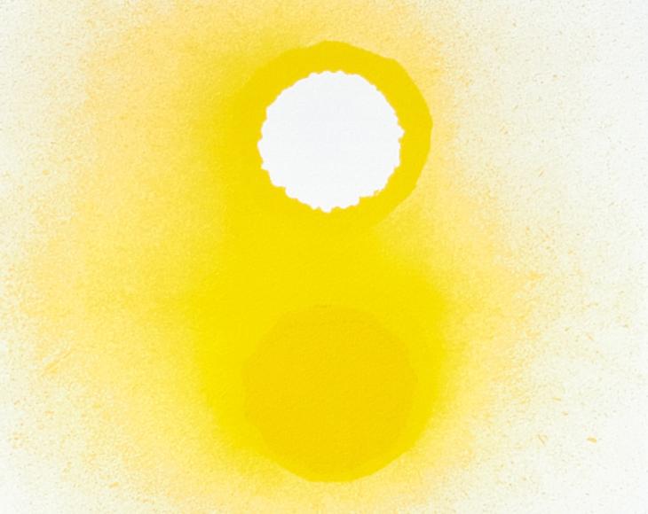 Art Summer 25 - Banksy, Bernd C. Dietrich, Fabian Pfleger, Friedensreich Hundertwasser, Gerhard Richter, Günther Uecker, Imi Knoebel, Joseph Beuys, Kurt Grimm, Marc Chagall, Max Uhlig, Otto Piene, Reiner Seliger, Rupprecht Geiger, Salvador Dali, Sigmar Polke Sommer 25