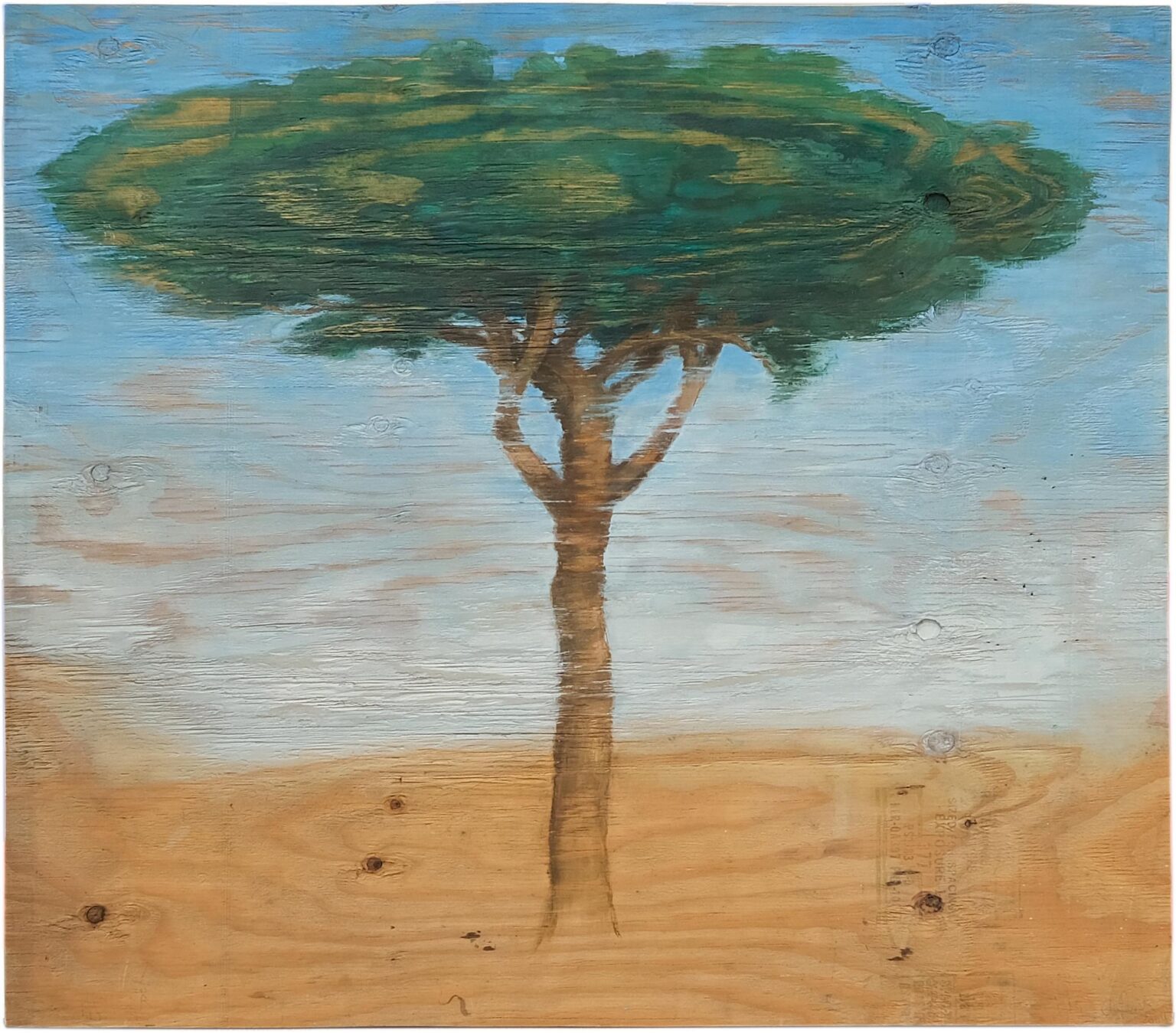 Pine tree - Christoph Pöggeler 