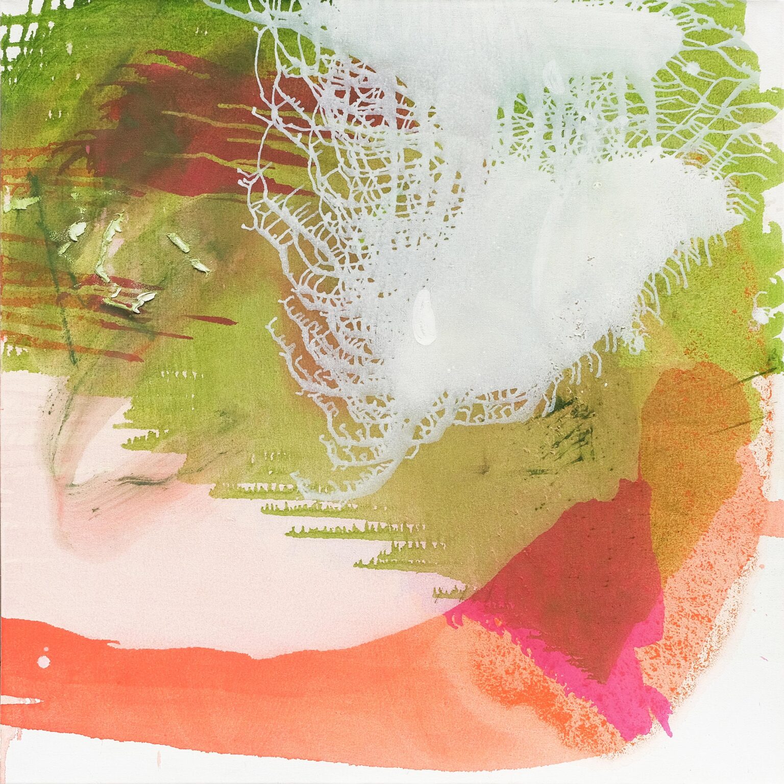 Coral Forms - Manfred Binzer 