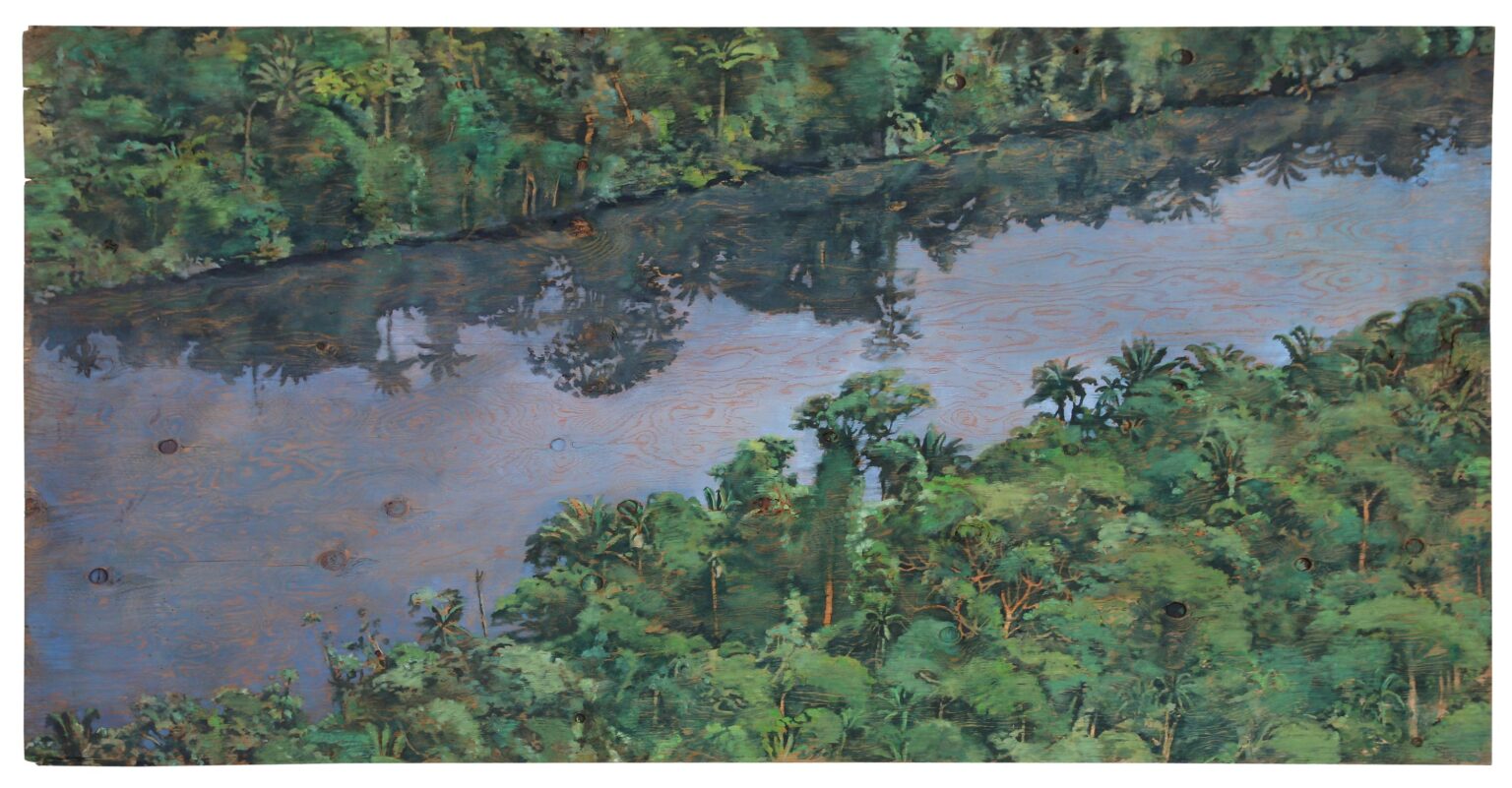 Jungle river - Christoph P&ouml;ggeler 