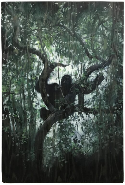 Privacy - Christoph Pöggeler 