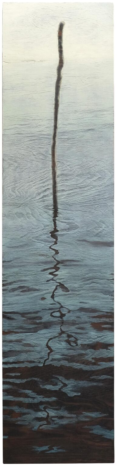 North Pole / Nordpol - Christoph P&ouml;ggeler 