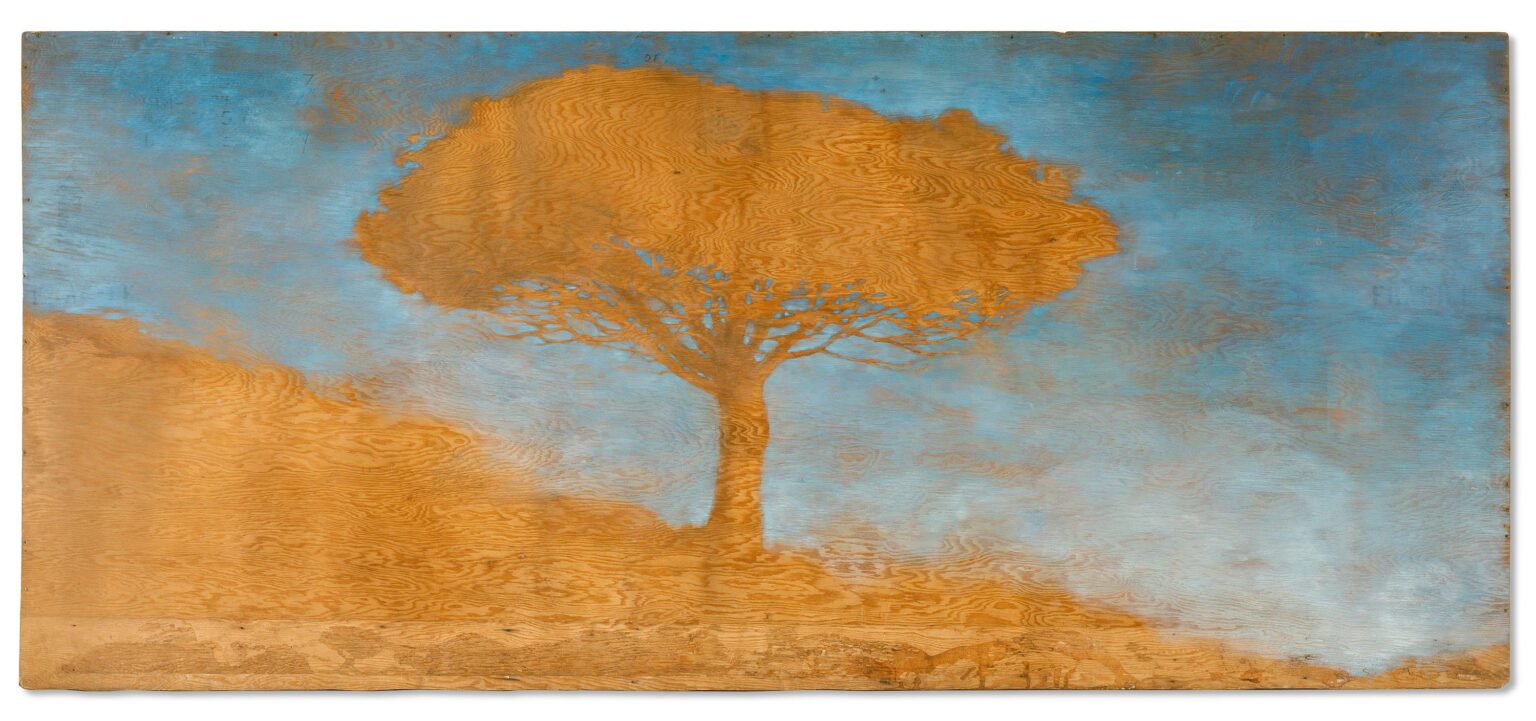 Large Pine - Christoph P&ouml;ggeler 