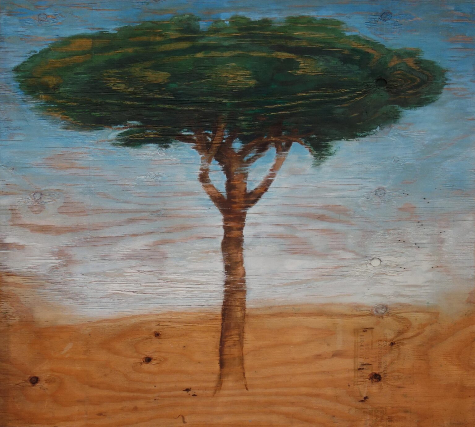 Small Pine - Christoph P&ouml;ggeler 