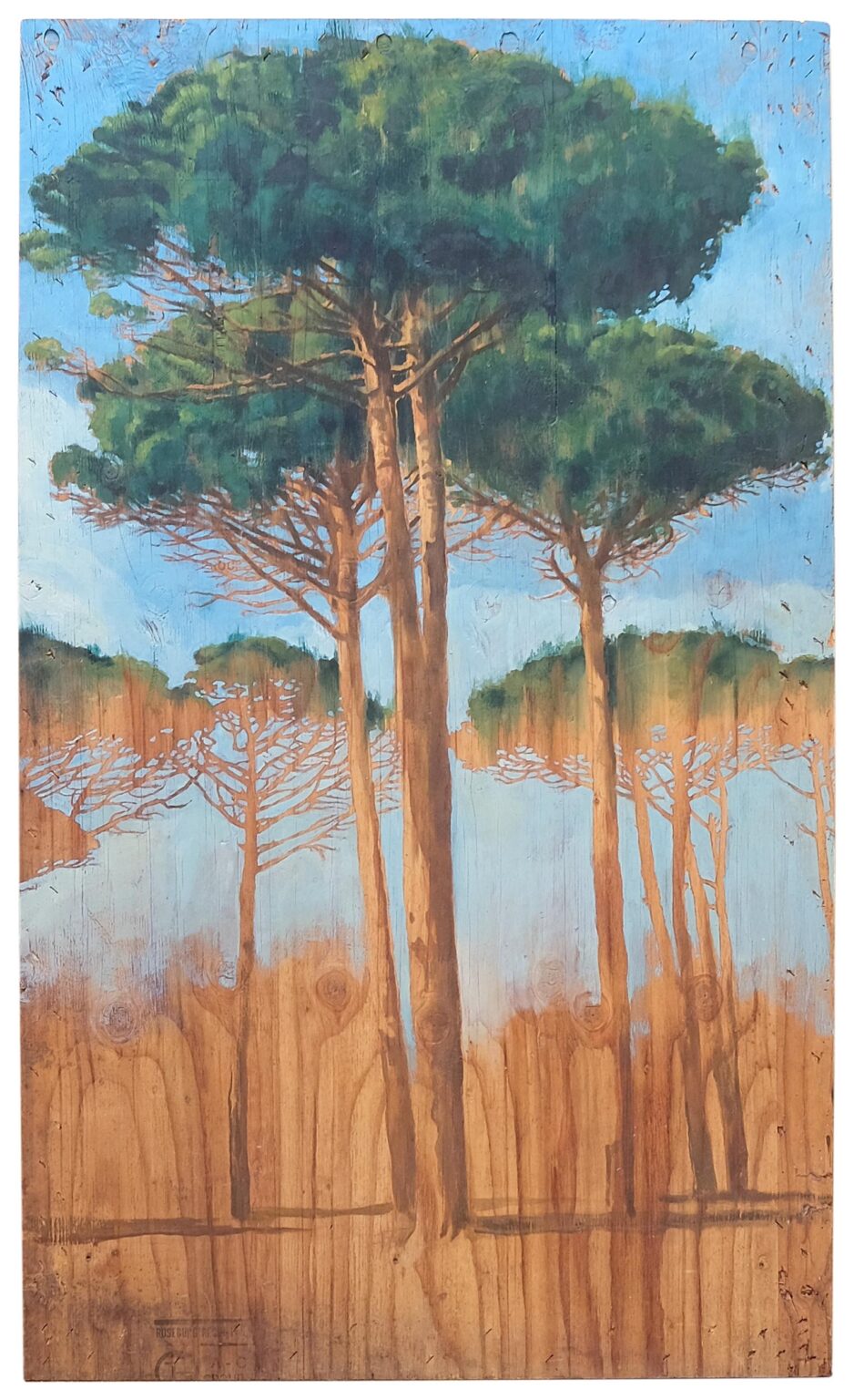 Pine trees - Christoph P&ouml;ggeler 