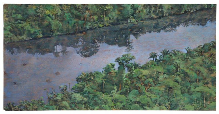 Jungle river - Christoph Pöggeler 