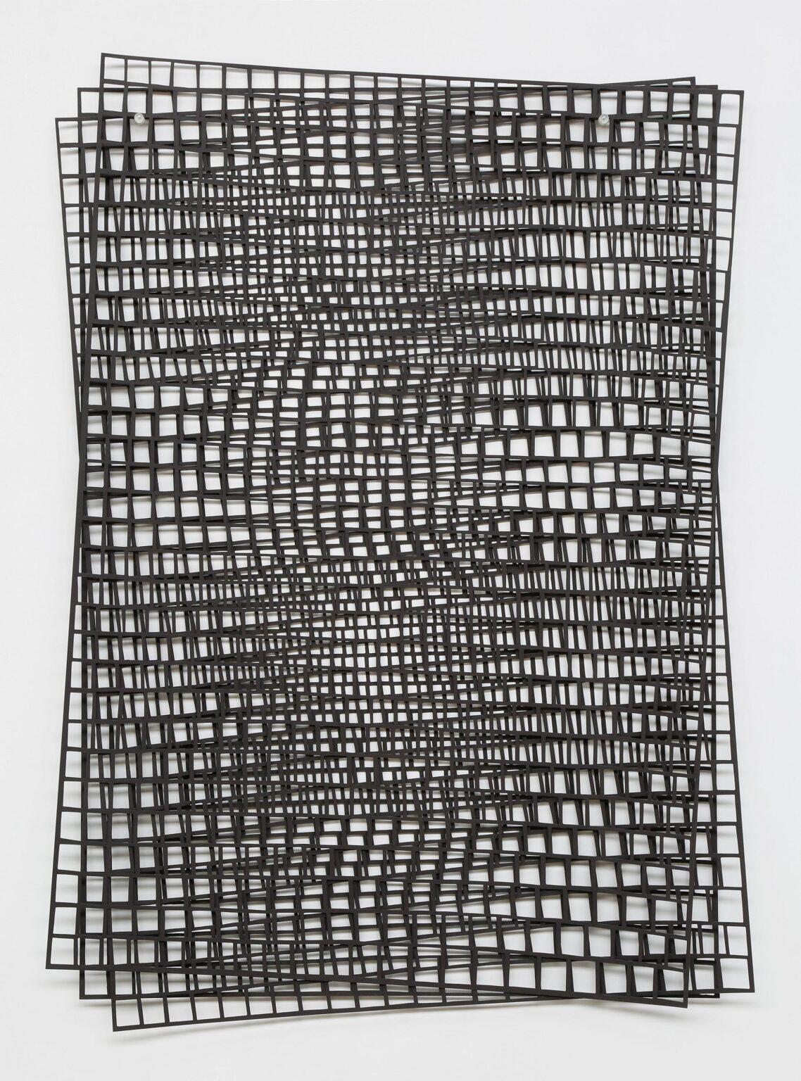 Skins of Nature &ndash; Three Levels Black - Violetta Seliger 