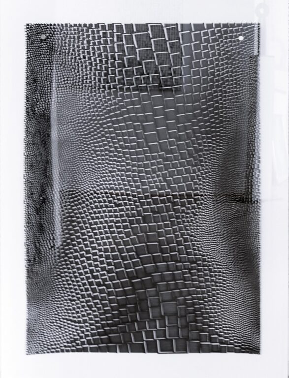 Skins of Nature – Black on Black and White II - Violetta Seliger 